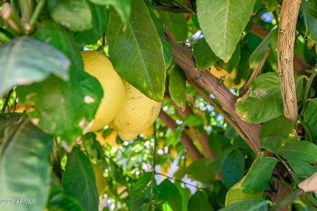 5311 N 8th Avenue, Phoenix, AZ 85013