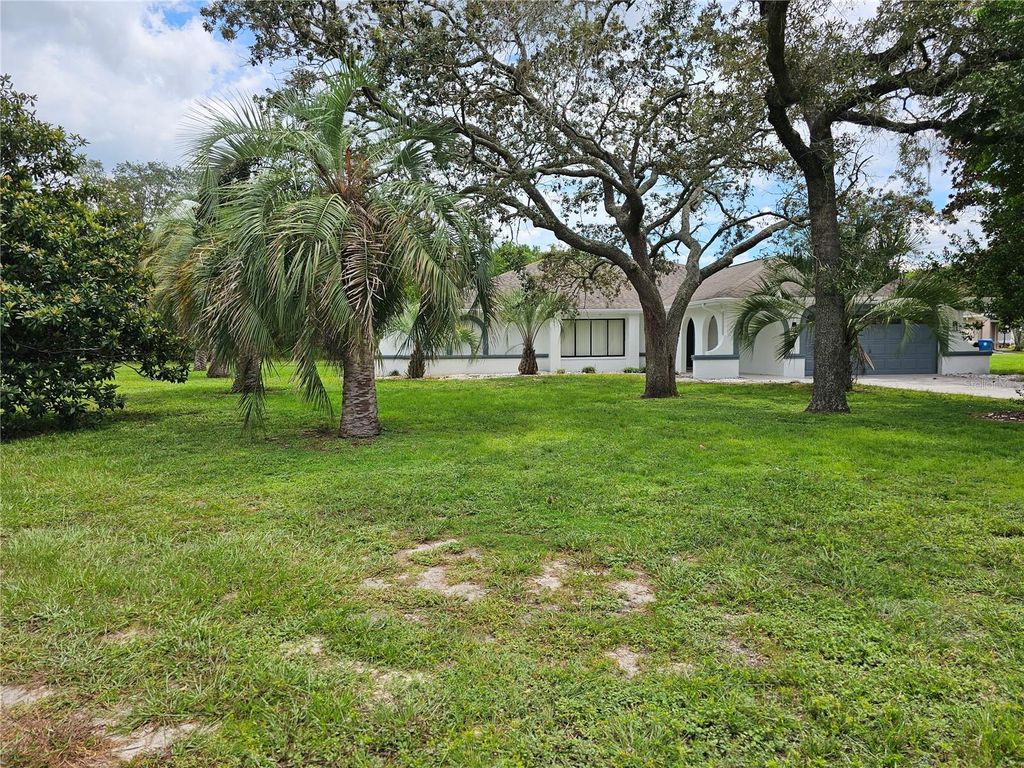 10186 SLEEPY WILLOW COURT, Spring Hill, FL 34608