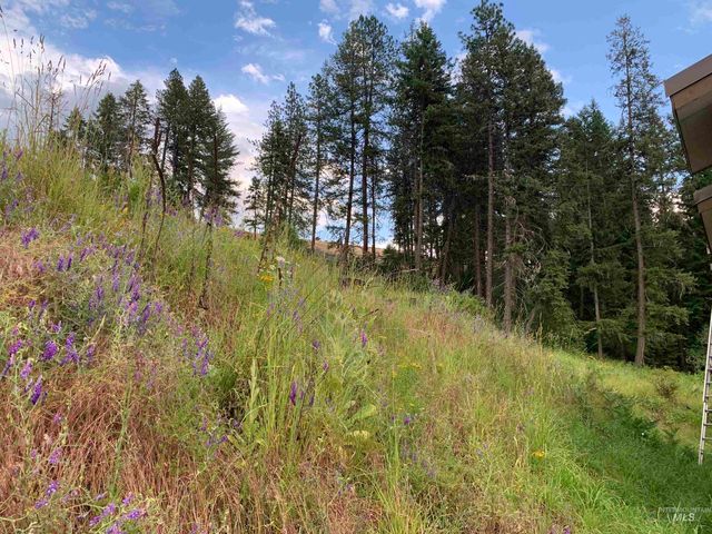 624 Clear Creek Road, Kooskia, ID 83539