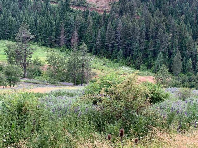 624 Clear Creek Road, Kooskia, ID 83539