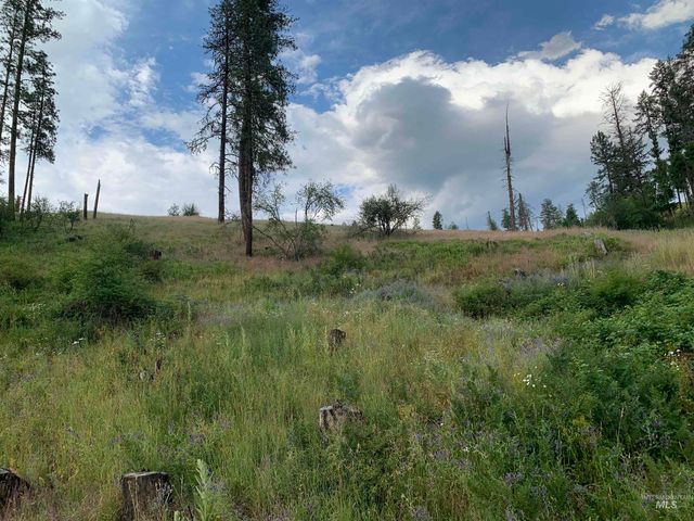 624 Clear Creek Road, Kooskia, ID 83539