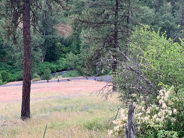 624 Clear Creek Road, Kooskia, ID 83539