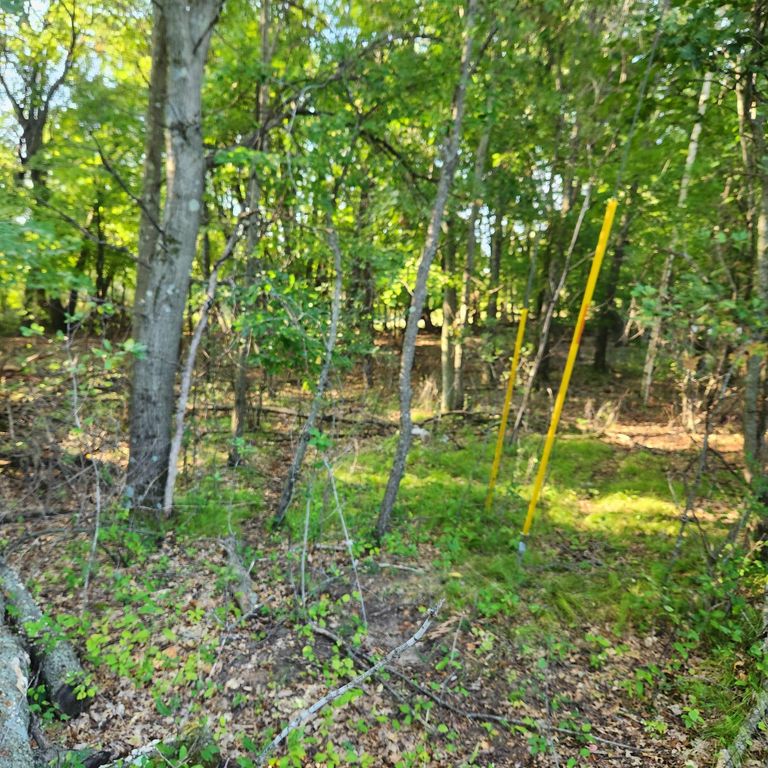 TBD 241st Lane, Bethel, MN 55005 — photo 2