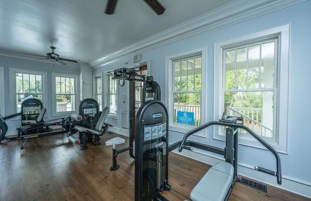 4282 Misty Hollow Lane, Ravenel, SC 29470