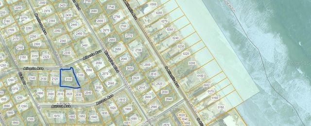 67 ALBERTA AVENUE, Ponce Inlet, FL 32127
