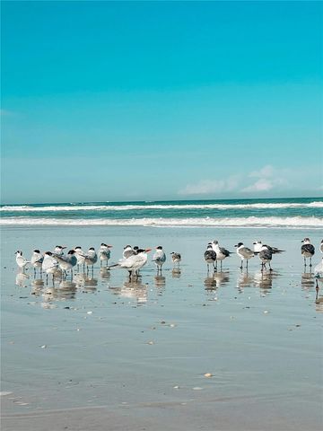 67 ALBERTA AVENUE, Ponce Inlet, FL 32127