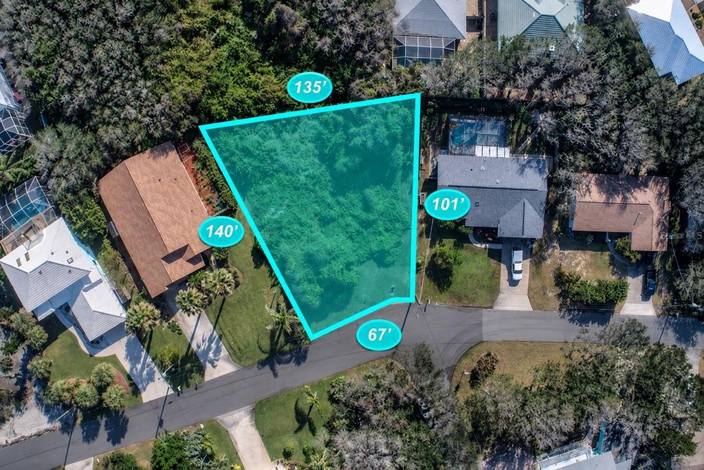 67 ALBERTA AVENUE, Ponce Inlet, FL 32127