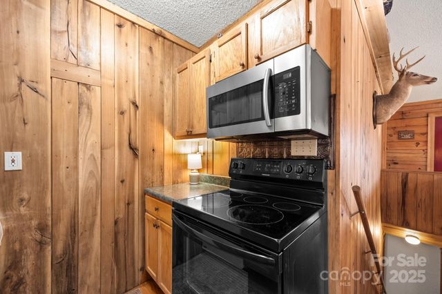 306 Forget Me Not Lane, Whittier, NC 28789