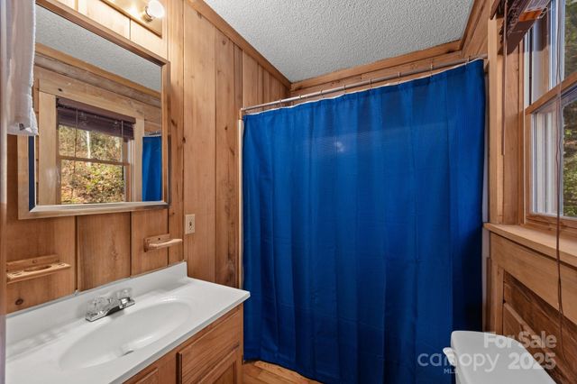 306 Forget Me Not Lane, Whittier, NC 28789