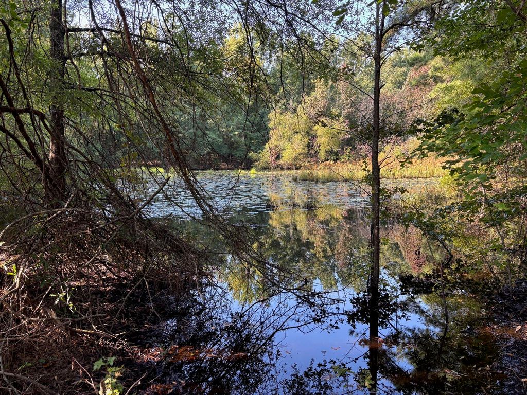 1460 Whitetown Road, Mccormick, SC 29835