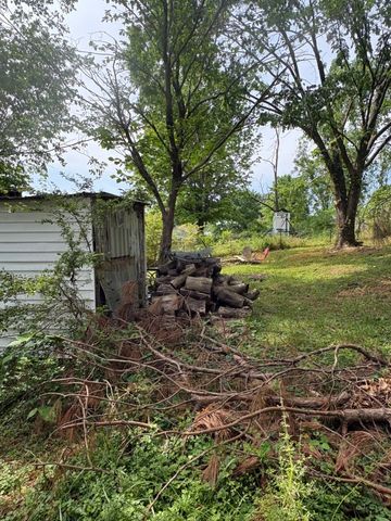 203 Edgewood Ave, Mount Pleasant, TN 38474
