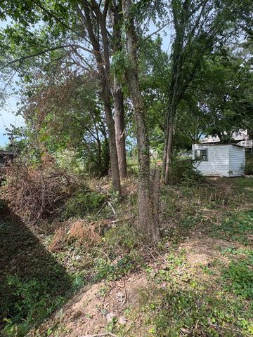 203 Edgewood Ave, Mount Pleasant, TN 38474