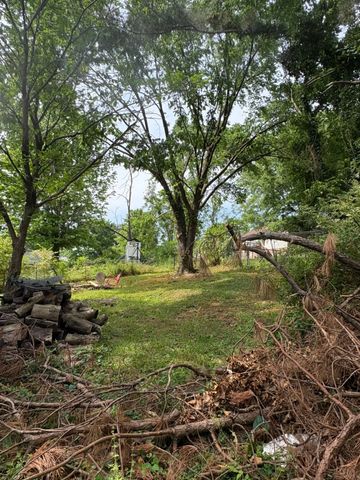 203 Edgewood Ave, Mount Pleasant, TN 38474