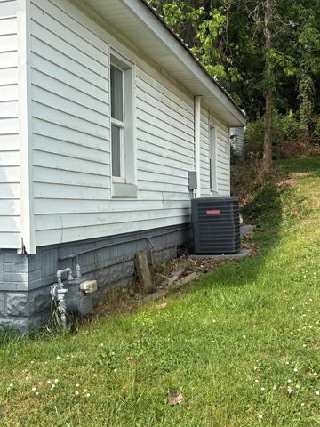 203 Edgewood Ave, Mount Pleasant, TN 38474