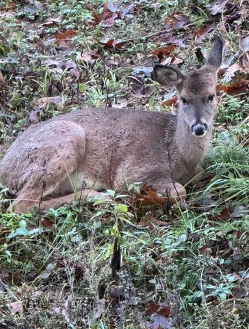 22709 Whippoorwill Lane, Springdale, AR 72762