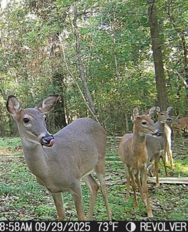 22709 Whippoorwill Lane, Springdale, AR 72762