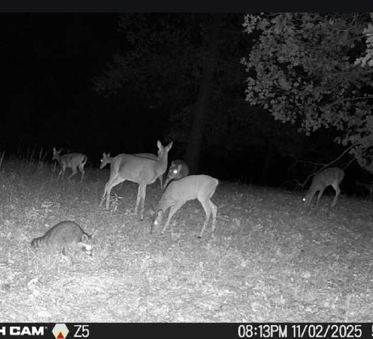 22709 Whippoorwill Lane, Springdale, AR 72762