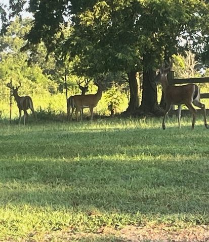 22709 Whippoorwill Lane, Springdale, AR 72762