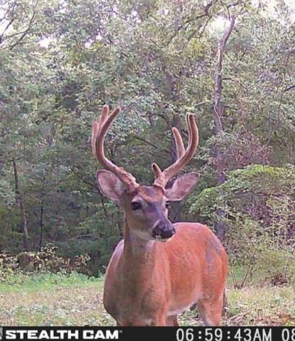 22709 Whippoorwill Lane, Springdale, AR 72762