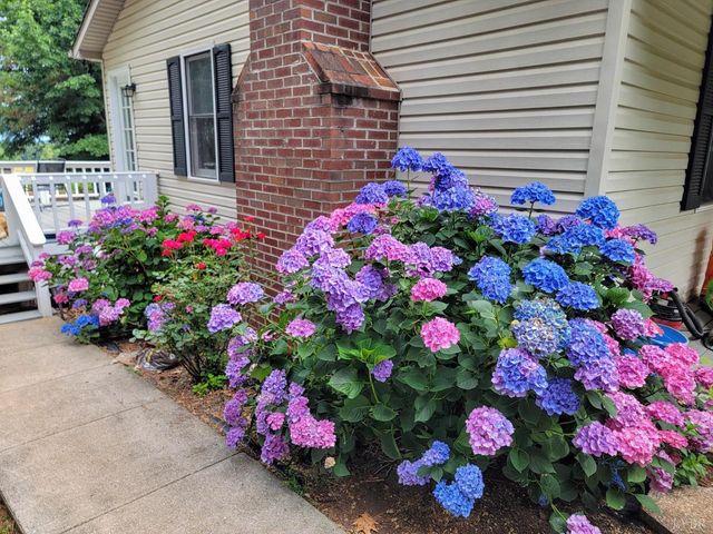 3105 Horseshoe Road, Appomattox, VA 24522