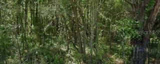 20550 MARINE BOULEVARD, Dunnellon, FL 34431
