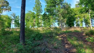 Lot 221 Vintage, Livingston, TX 77351