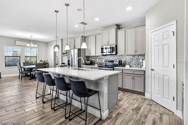 13134 MONACH ISLES DRIVE, Riverview, FL 33579