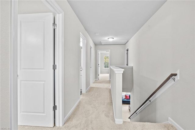 120 Taxus ST, Chesapeake, VA 23320