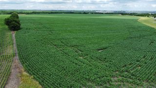 TBD HCR-3112, Abbott, TX 76621