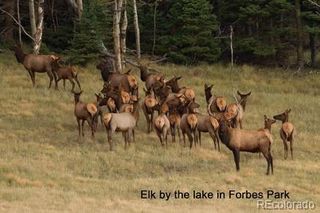 2354 Benton Place, Fort Garland, CO 81133