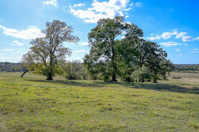 125 ACRES Spring Branch Road, Montgomery, TX 77316
