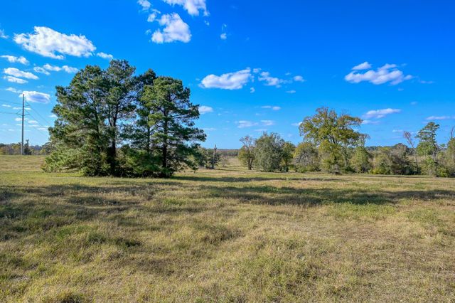 125 ACRES Spring Branch Road, Montgomery, TX 77316