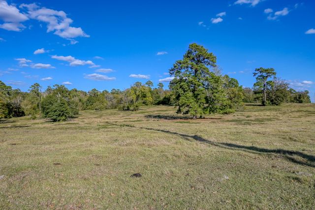 125 ACRES Spring Branch Road, Montgomery, TX 77316