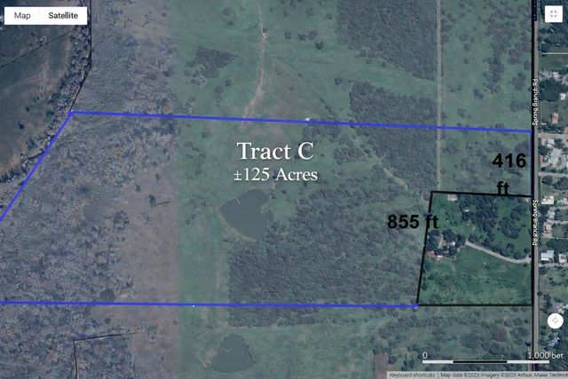 125 ACRES Spring Branch Road, Montgomery, TX 77316