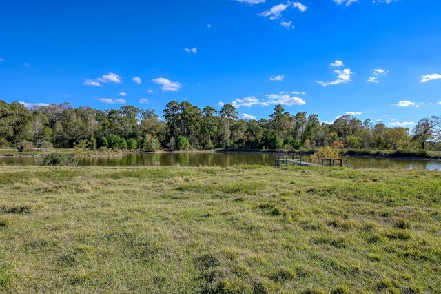 125 ACRES Spring Branch Road, Montgomery, TX 77316
