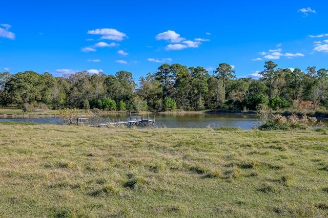125 ACRES Spring Branch Road, Montgomery, TX 77316