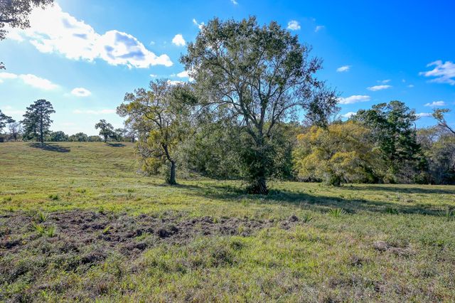 125 ACRES Spring Branch Road, Montgomery, TX 77316