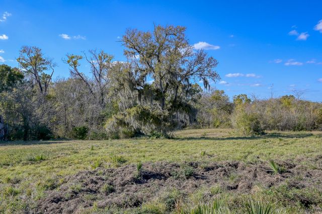 125 ACRES Spring Branch Road, Montgomery, TX 77316