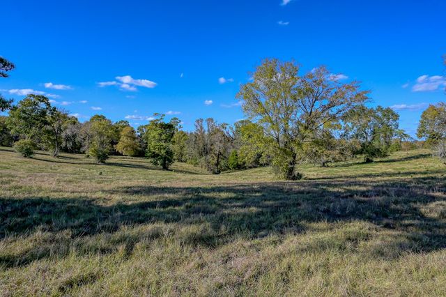 125 ACRES Spring Branch Road, Montgomery, TX 77316