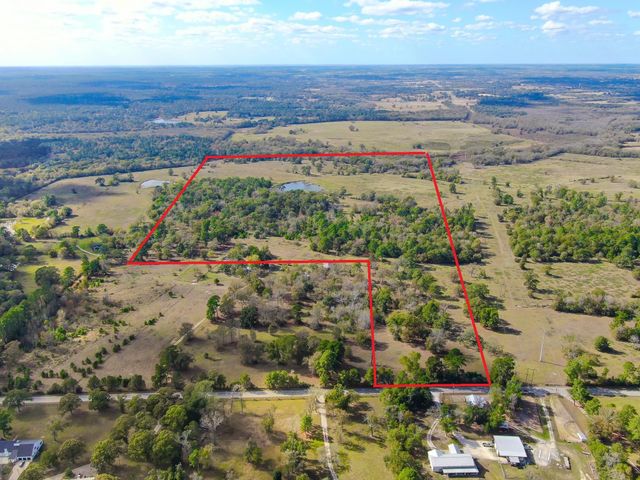 125 ACRES Spring Branch Road, Montgomery, TX 77316