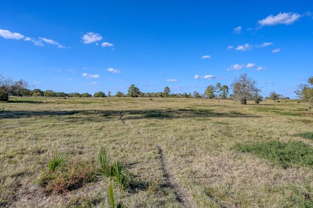 125 ACRES Spring Branch Road, Montgomery, TX 77316
