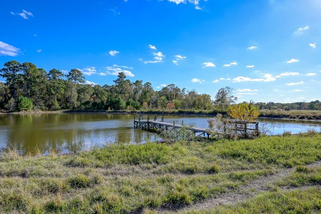 125 ACRES Spring Branch Road, Montgomery, TX 77316