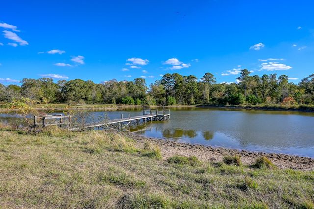 125 ACRES Spring Branch Road, Montgomery, TX 77316