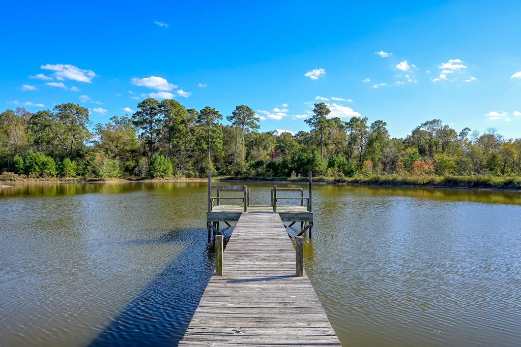 125 ACRES Spring Branch Road, Montgomery, TX 77316