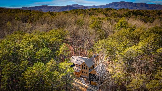 45 Shermans Court, Mccaysville, GA 30555