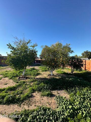 1031 S 96TH Street, Mesa, AZ 85208