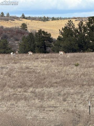 3203 Red Cavern Road, Colorado Springs, CO 80908