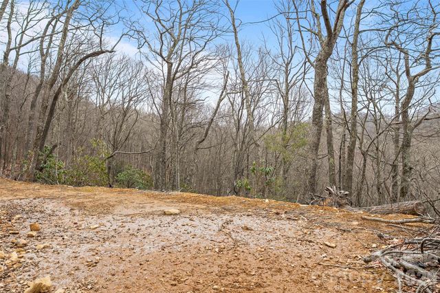 1480 Odalu Trail, Maggie Valley, NC 28751