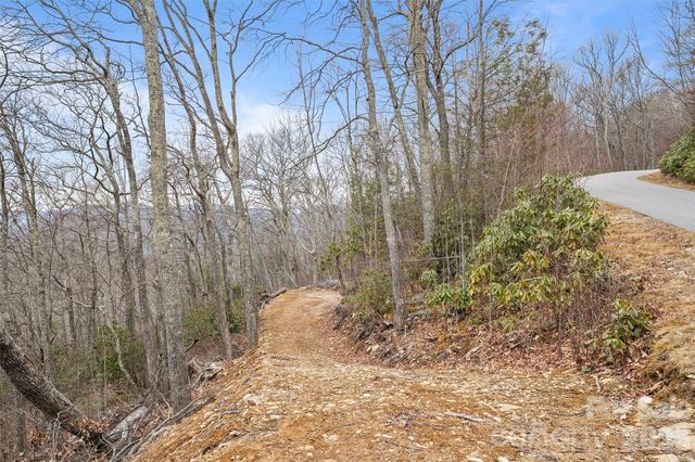 1480 Odalu Trail, Maggie Valley, NC 28751
