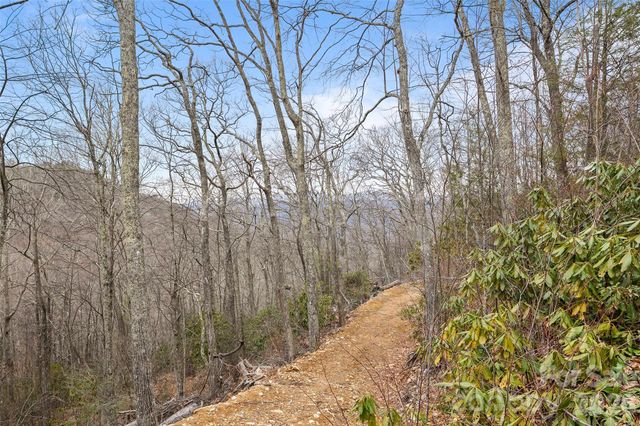 1480 Odalu Trail, Maggie Valley, NC 28751